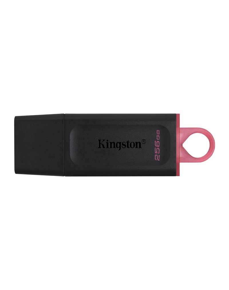 USB Flash Memorija KINGSTON EXODIA 256GB USB 3.2 Crna (DTX/256GB)