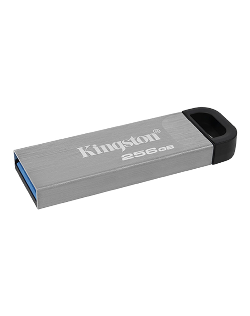 USB Flash Memorija KINGSTON 256GB DataTraveler Kyson (DTKN/256GB) Siva