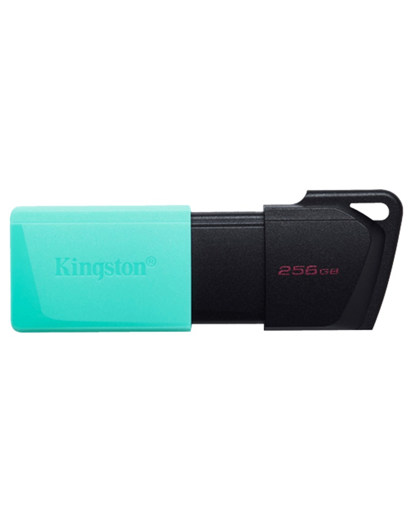 USB Flash Memorija KINGSTON Data Traveler 256 GB USB 3.2 Gen 1 (DTXM/256GB) Crna