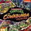 Teenage Mutant Ninja Turtles - Cowabunga Collection (PS5)